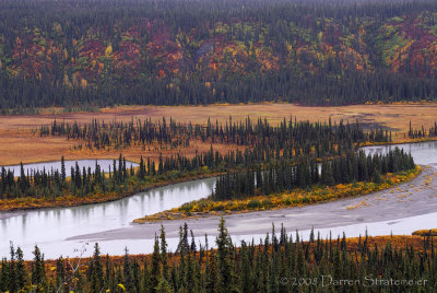 Nenana River View