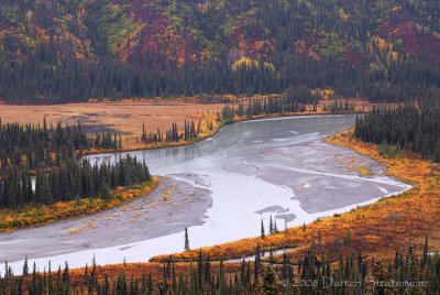 Nenana River View