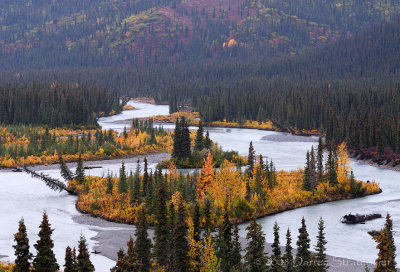 Nenana River View
