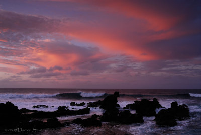 Purple Haze