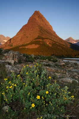Cinquefoil and Grinnell Point