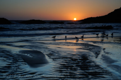 Evening Gathering