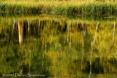 Bishop Creek Reflection