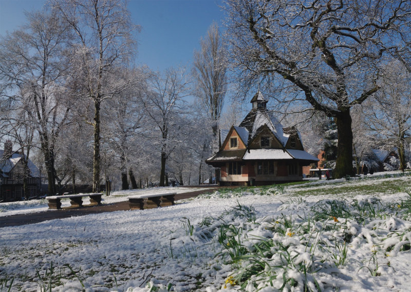 Green-Snow.jpg
