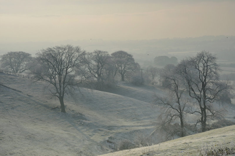 DSC_1572web .jpg