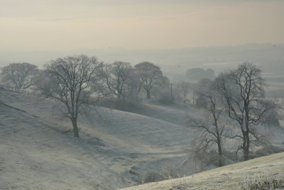 DSC_1572web .jpg
