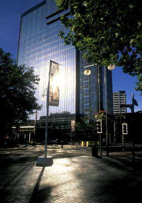 Hyatt Film Web.jpg