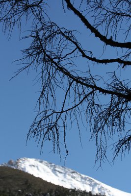 g1/93/684593/3/106557408.UQw8LyGR.jpg
