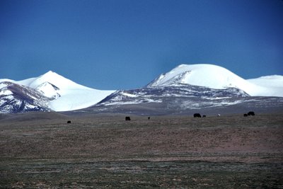 g1/93/684593/3/130897695.qEvJPLM6.jpg