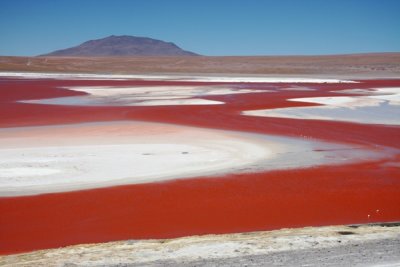 Laguna Colorada, Bolivia