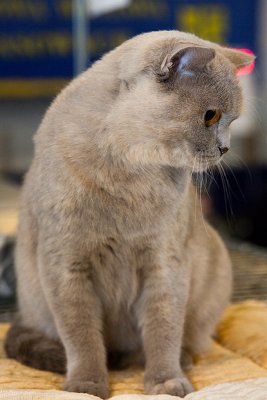 IMG_8805.jpg
