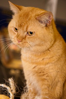 IMG_8820.jpg