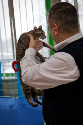 IMG_0368.jpg