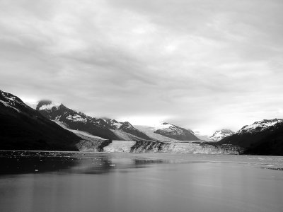 collegefiord4.jpg
