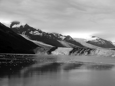 collegefiord7.jpg