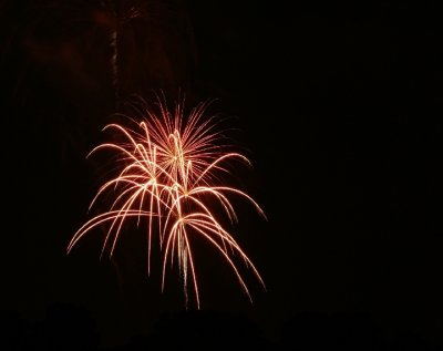DSC01388crop.jpg