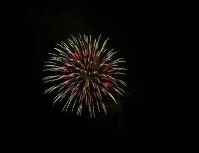 DSC01431crop.jpg