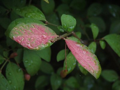 Beachwood City Park September 23  2010
