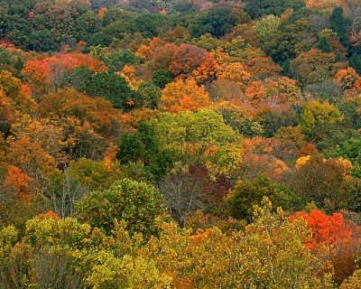 Fall Peaks, Bedford Metro Park, Tinker Creek Overlook