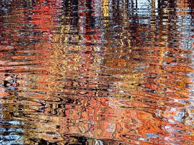 Abstract, Pond Reflections