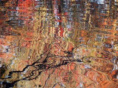 Reflecions of Fall -Abstract-DSC02096