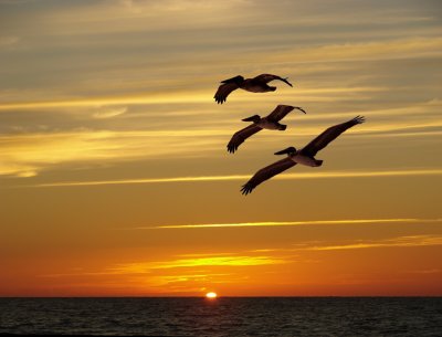 sunset flyby (composite) 3rd Paize May Show 2011