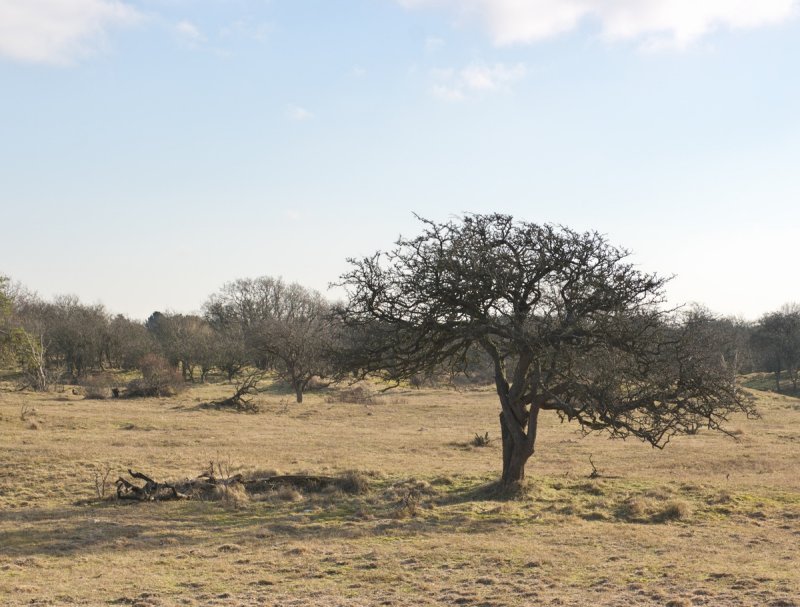 2009-02-01_CDEH7671.jpg