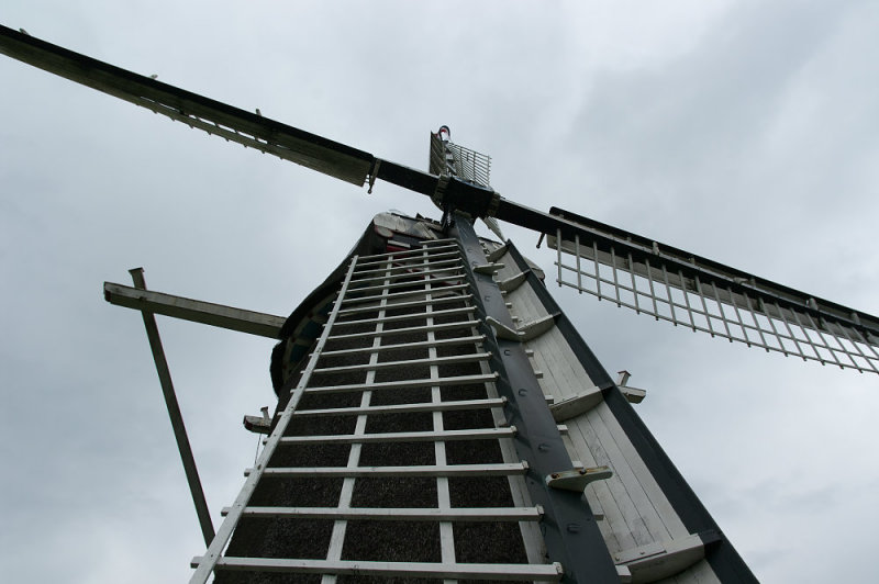 IMGP1592.jpg