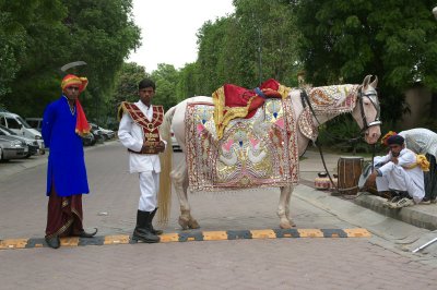 Delhi, Wedding party, brooms horse