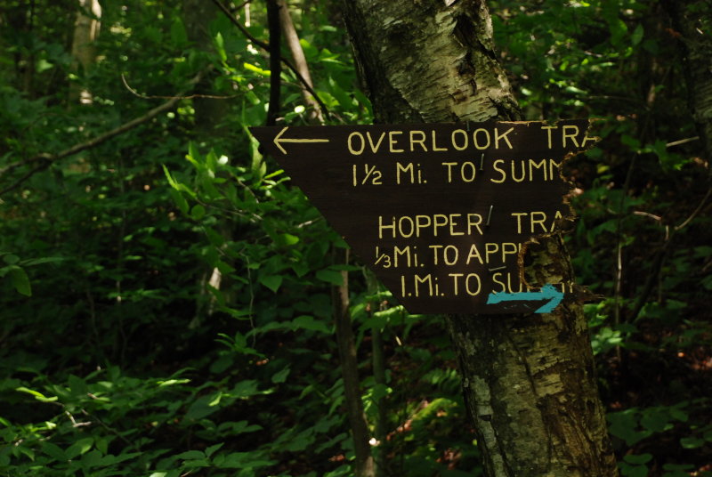 We took the overlook trail