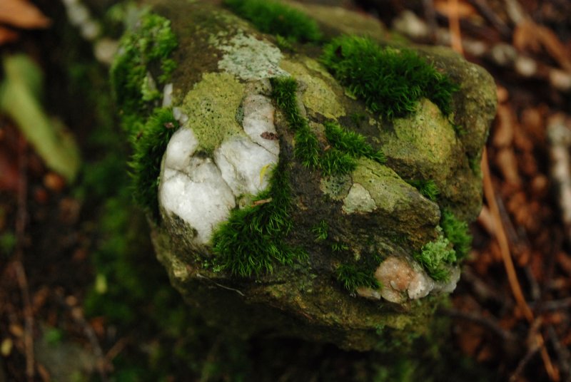 Pretty rock