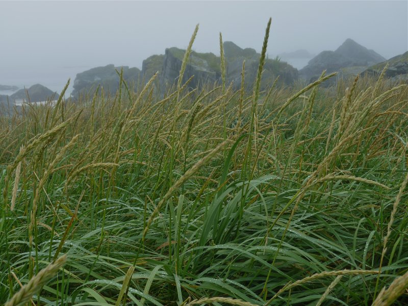 Wet day this time