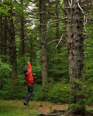 Making a bear hang