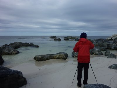 Beach at Skiphalsen