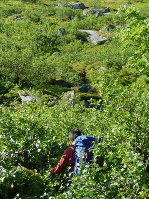 Hiking to mount Markan, we lost the trail and had to bushwack a bit