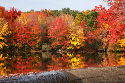 Fall Colors - Artichoke Reservoir