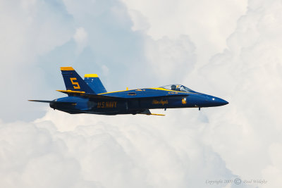 Blue Angels_3.jpg