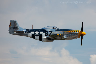 P51_1.jpg