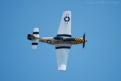 P51_3.jpg