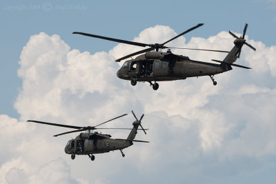 Pair of Blackhawks.jpg