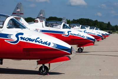 Snowbirds_1.jpg