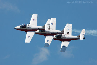 Snowbirds_2.jpg