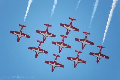 Snowbirds_4.jpg