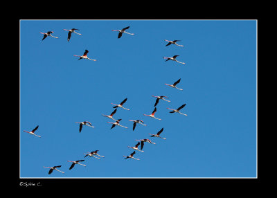 g1/93/777293/3/125636424.sdMOc8nP.jpg