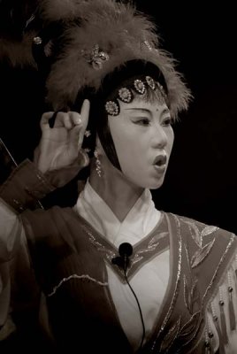 Faces of Chinese Opera 215.jpg