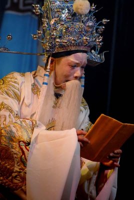Faces of Chinese Opera 217.jpg