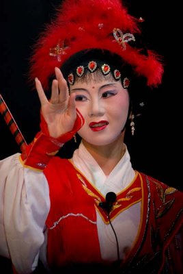 Faces of Chinese Opera 233.jpg