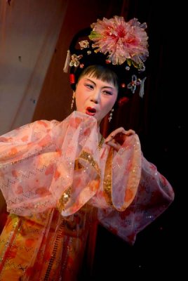 Faces of Chinese Opera 254.jpg
