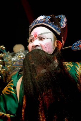 Faces of Chinese Opera 258.jpg