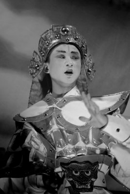 Faces of Chinese Opera 315.jpg